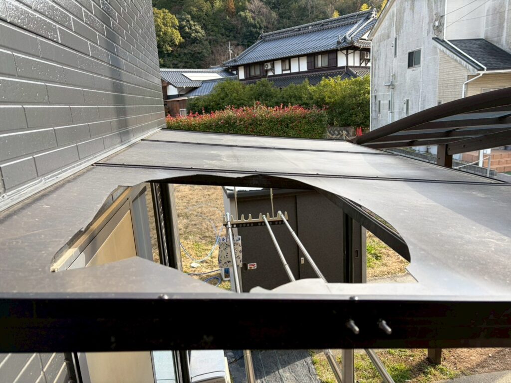 上から見た様子